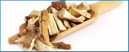 marshmallow root
